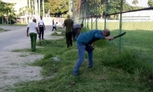 Ante los problemas de La Habana, sacudirnos de toda pasividad