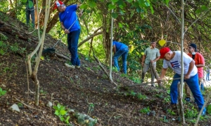 Trabajo voluntario