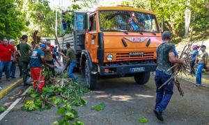 Trabajo voluntario