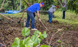 agricultura