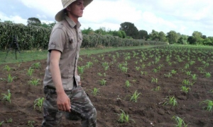 destaca en incorporación de jóvenes a trabajar la tierra