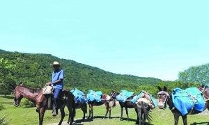 Sierra Maestra