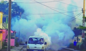 FUMIGACION