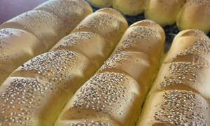 Caibarién