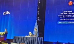 Convención contra Ciberdelitos