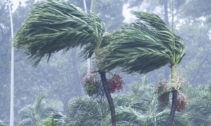 Paso del huracann Rafael por la habana