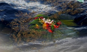 Flores a Camilo ANV 66 