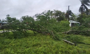 Primeras imágenes de la afectación de Melissa