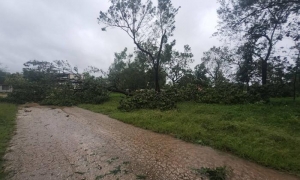 Primeras imágenes de la afectación de Melissa