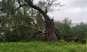 Primeras imágenes de la afectación de Melissa