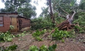 Primeras imágenes de la afectación de Melissa