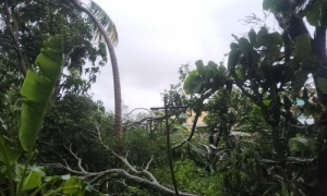 Primeras imágenes de la afectación de Melissa