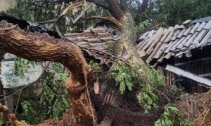 Primeras imágenes de la afectación de Melissa