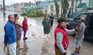 Se reporta caída de árboles en Bayamo
