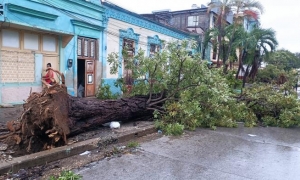 Se reporta caída de árboles en Bayamo
