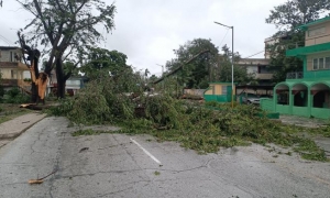 Se reporta caída de árboles en Bayamo