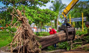 foto: Yanelkys Llera Céspedes 