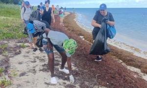 recogida de residuos plásticos