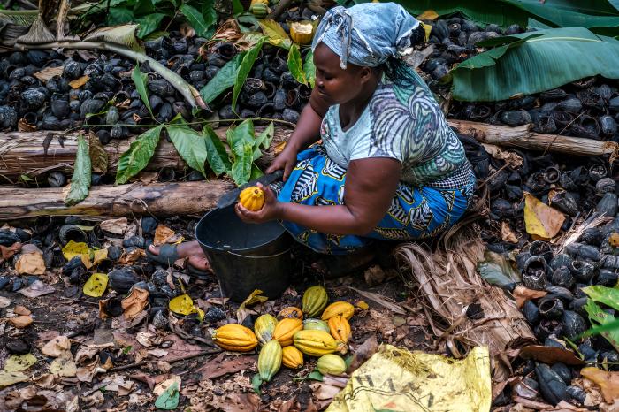 Exportaciones de países subdesarrollados dependen fundamentalmente de renglones primarios, con bajo valor agregado.