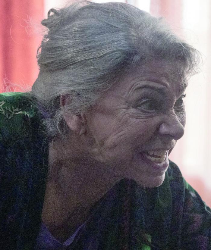 serie de televisión