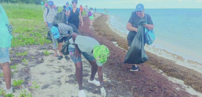 cuidado del medio ambiente