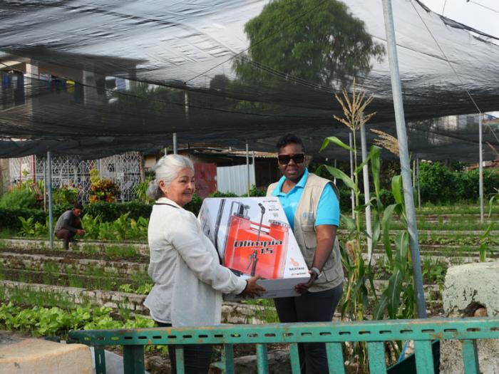 Donativos organoponicos