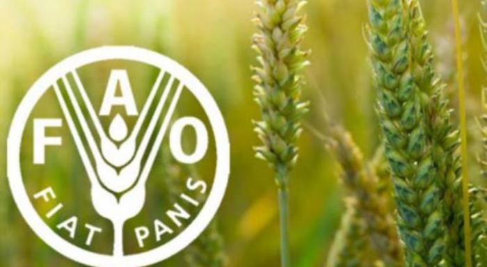 FAO aporta nuevo impulso a biodiversidad 