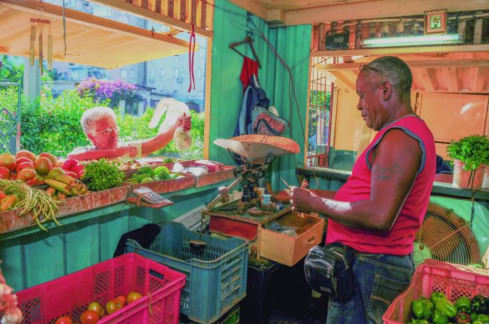 El Programa de Gobierno 