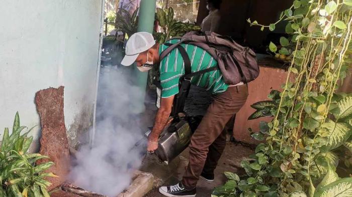 acciones contra el Aedes aegypti