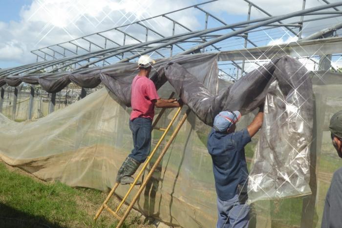 Poco a poco, las casas herméticas toman forma. FOTOS: DE LA AUTORA