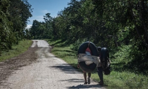 Muchachos con cámaras de tracto