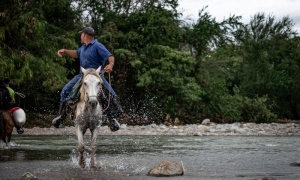 No te pongas a tomar agua ahora