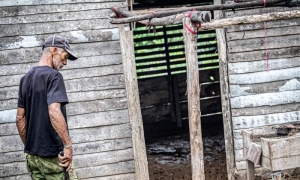 El piso por el que gateaba la niña está sepultado bajo centímetros de fango.