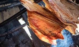 «Dos cuerpos de pescado se cocinan al humo escueto de escuetas leñas»