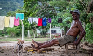 La leña bajo los pies...
