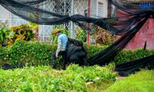 Continúan esfuerzos por restaurar infraestructuras en Holguín