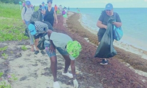 cuidado del medio ambiente