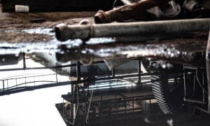 «Aquí lo que hizo daño fue el agua», dice un señor, en  lo que  seca arroz encima de un vagón cañero.