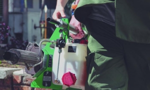 Proliferación del Aedes aegypti