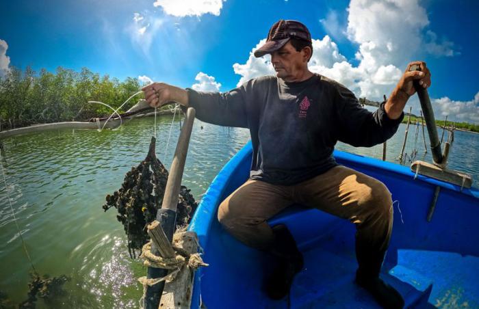 Empresa pesquera en Holguín