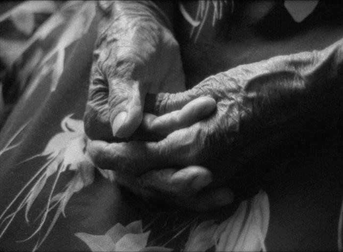 ¡Ya México no existirá más!, en la sección Otros Territorios.