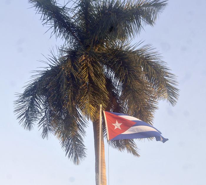 Cuba Libre, Palma Real y la Bandera Cubana.