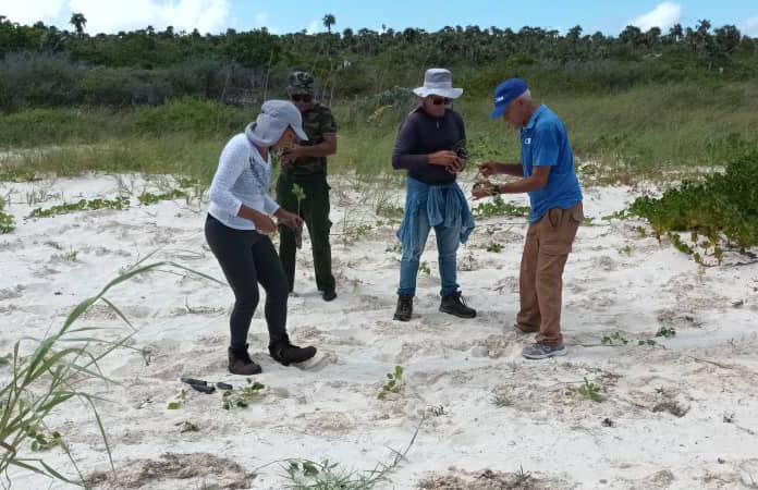 Realizan proyectos en Gran Humedal del Norte de Ciego de Ávila