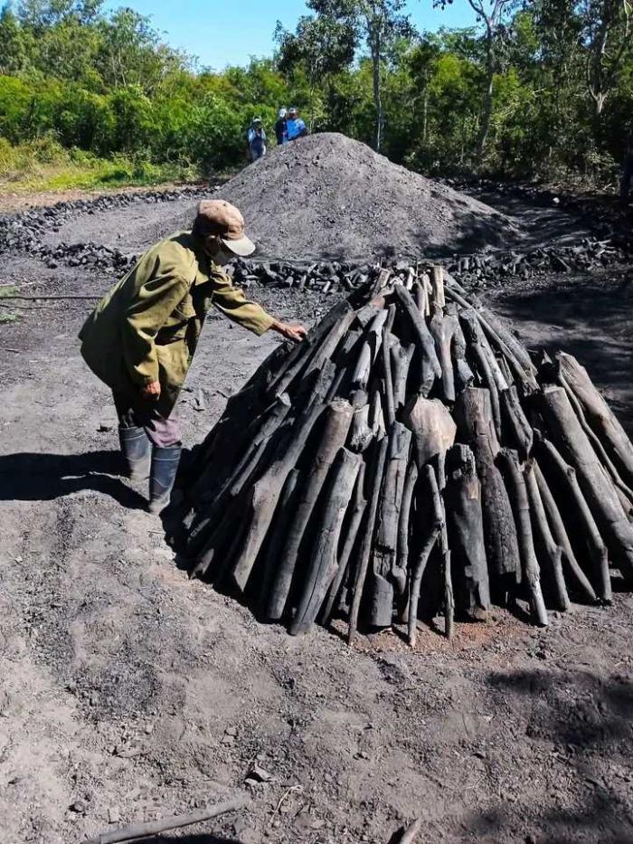 silvicultora de Niquero, Granma