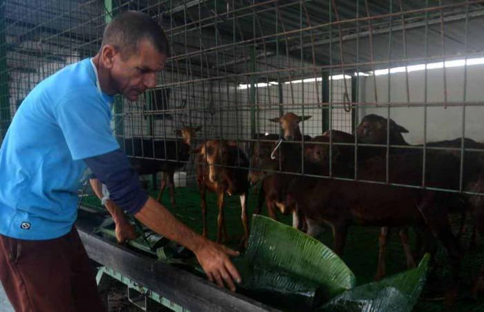 Ejecuta empresa villaclareña exitoso modelo de economía circular