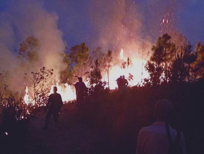 incendios forestales