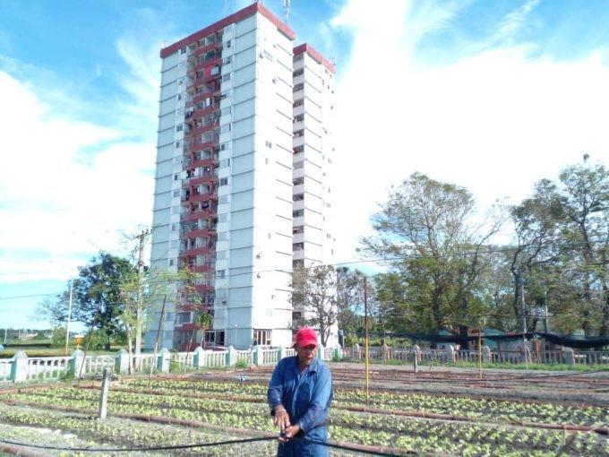 recuperación en la Agricultura Urbana