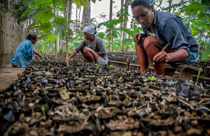 Incentivan en Holguín prácticas agroecológicas