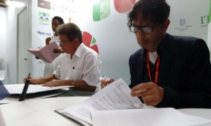 Producciones de café y arroz