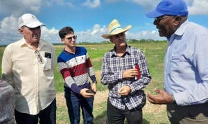 Gestión agroalimentaria en Holguín